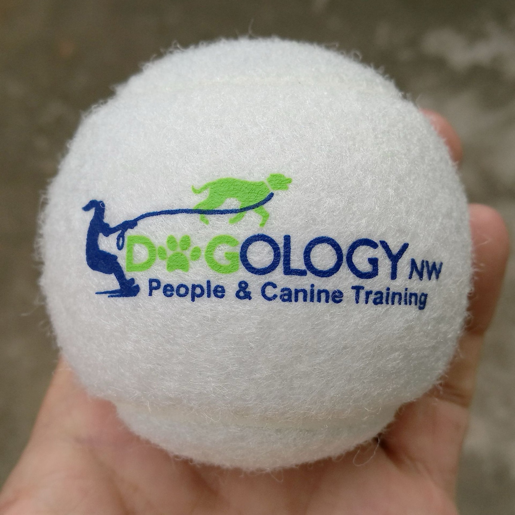 Pelotas de Tenis con Logo para Empresas | Personalizadas - promo-tenis.com